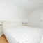 Apartament, Telecentru, DRUMUL VIILOR