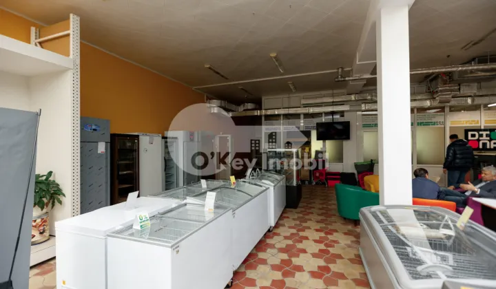 Spațiu comercial, Botanica, DACIA