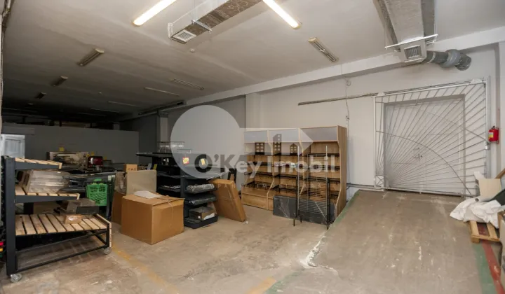 Spațiu comercial, Botanica, DACIA