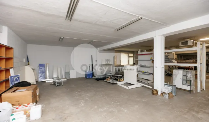 Spațiu comercial, Botanica, DACIA