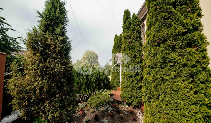 Casă, Râșcani, ZAMOLXE