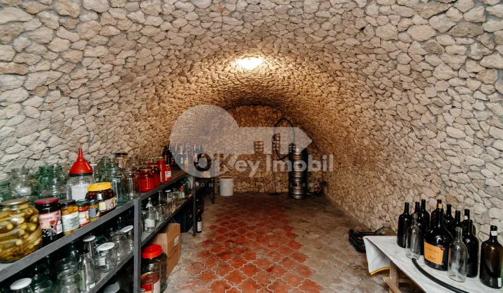 Casă, Râșcani, ZAMOLXE