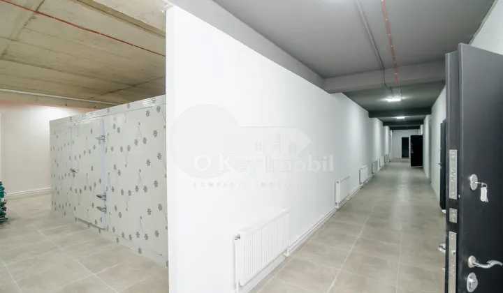 Spațiu pentru producere, ORHEI