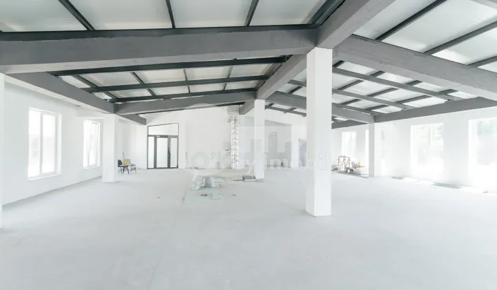 Spațiu pentru producere, Buiucani, PRUNULUI