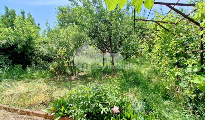 Apartament, Telecentru, PORUMBIȚEI