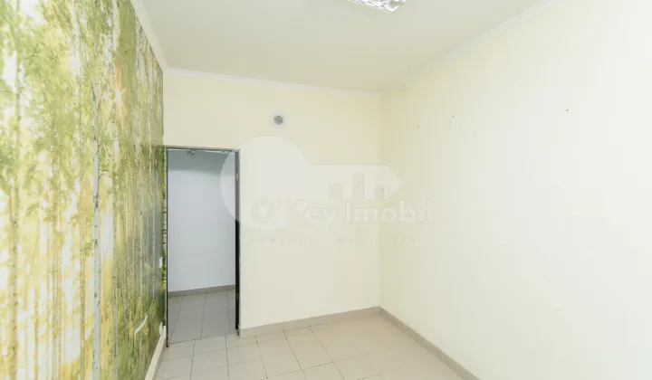 Spațiu comercial, Centru, ALBIȘOARA