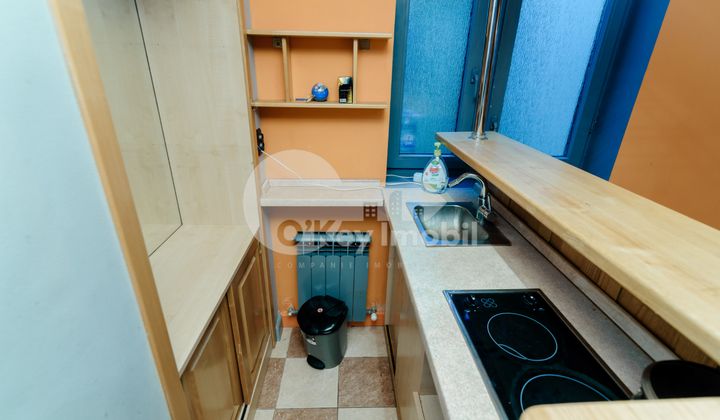 Casă, Telecentru, GHEORGHE ASACHI