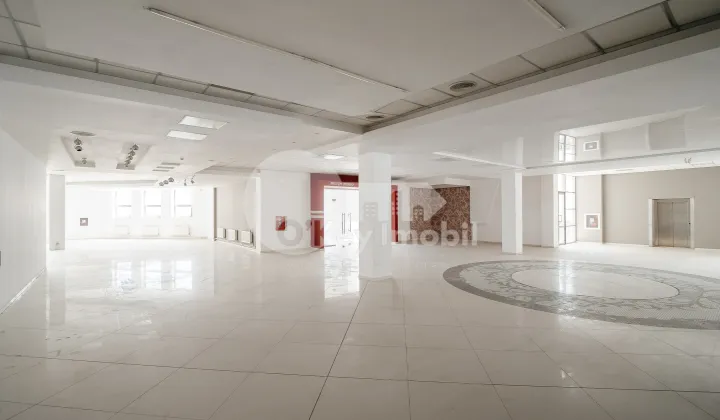 Spațiu comercial, Botanica, DECEBAL