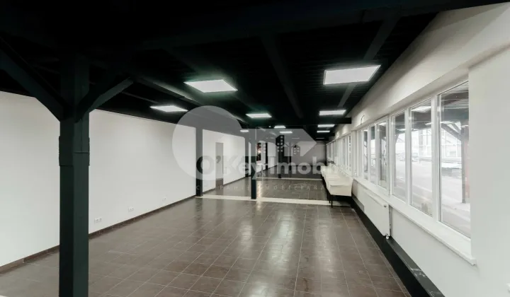 Spațiu comercial, Botanica, DECEBAL