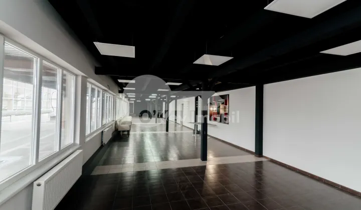 Spațiu comercial, Botanica, DECEBAL