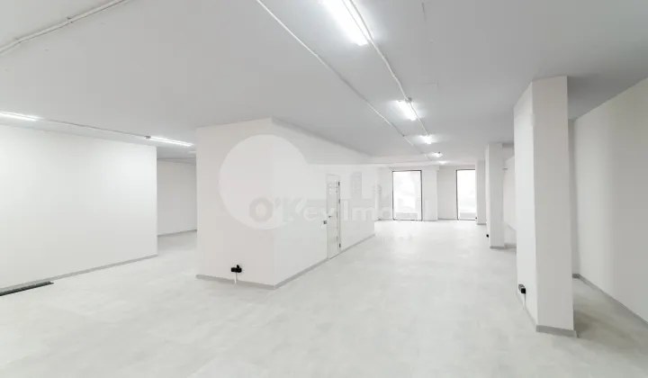 Spațiu comercial, Centru, AVRAM IANCU