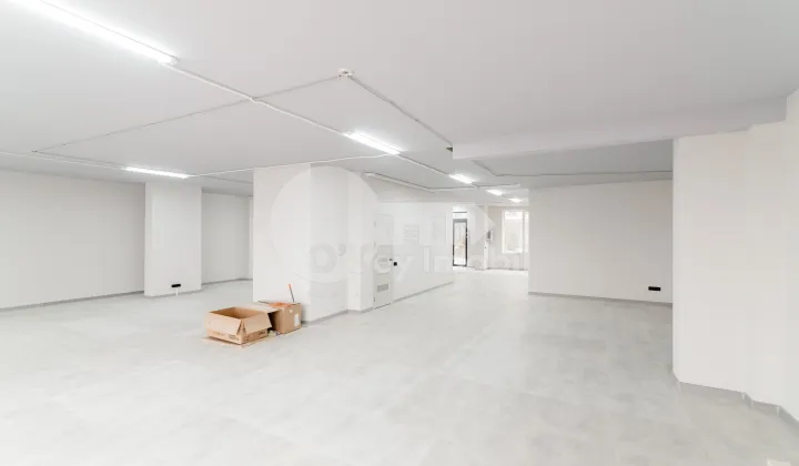 Spațiu comercial, Centru, AVRAM IANCU