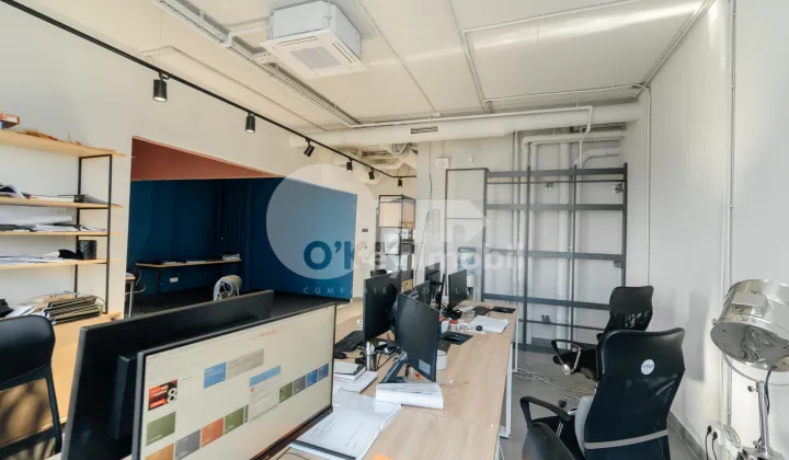 Oficiu, Centru, VERONICA MICLE