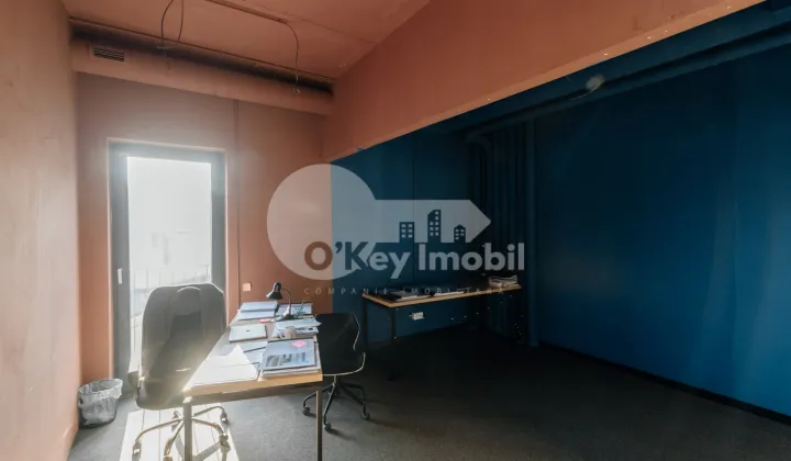 Oficiu, Centru, VERONICA MICLE