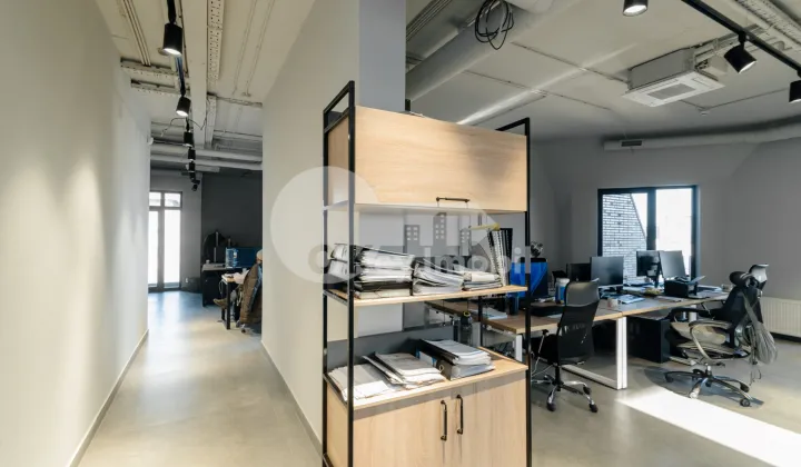 Oficiu, Centru, VERONICA MICLE