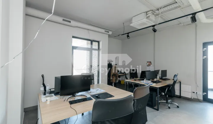 Oficiu, Centru, VERONICA MICLE