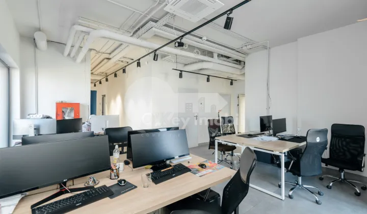 Oficiu, Centru, VERONICA MICLE