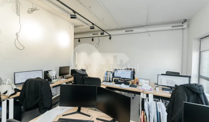 Oficiu, Centru, VERONICA MICLE