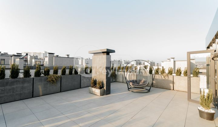 Casă, Botanica, PĂȘUNILOR