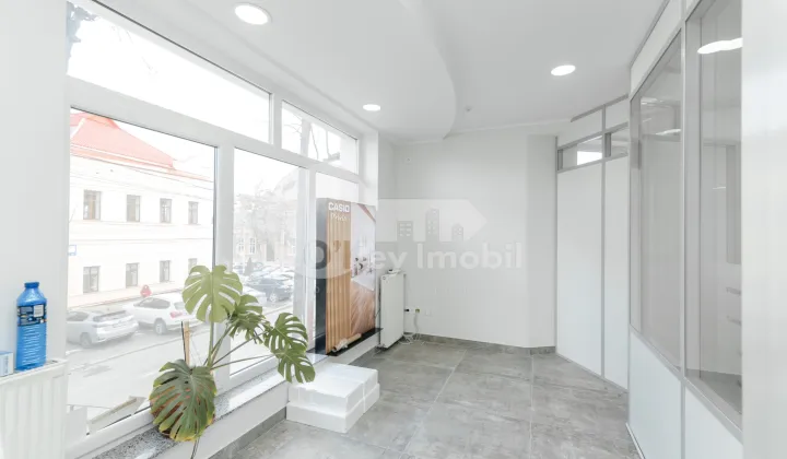 Spațiu comercial, Centru, ALEXEI MATEEVICI