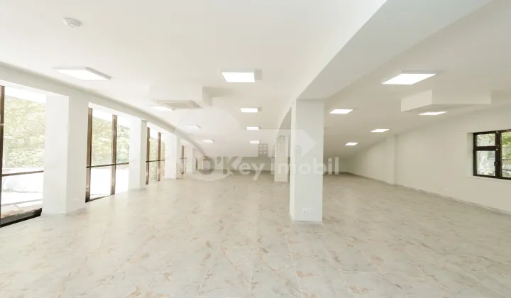 Spațiu comercial, Botanica, INDEPENDENȚEI