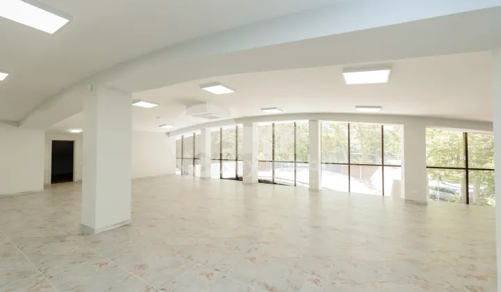 Spațiu comercial, Botanica, INDEPENDENȚEI