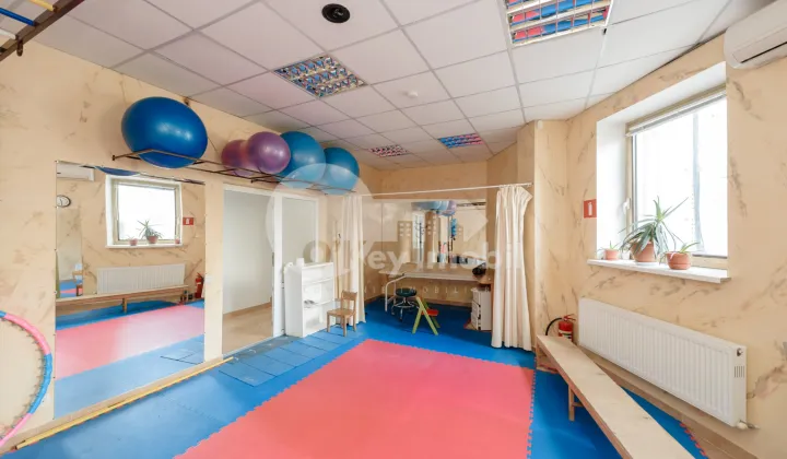 Spațiu comercial, Botanica, DACIA