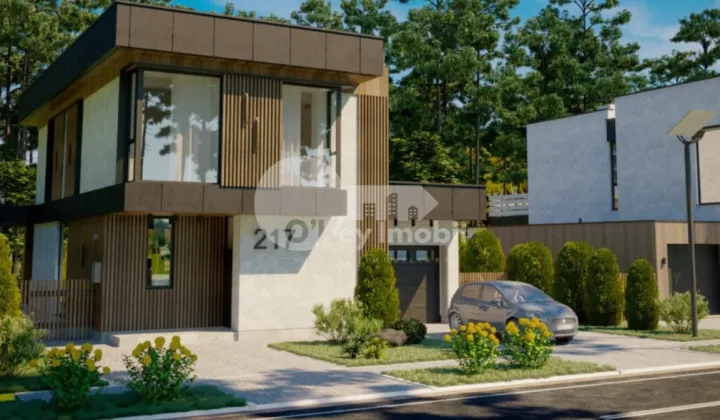 Casă, Botanica, DACIA