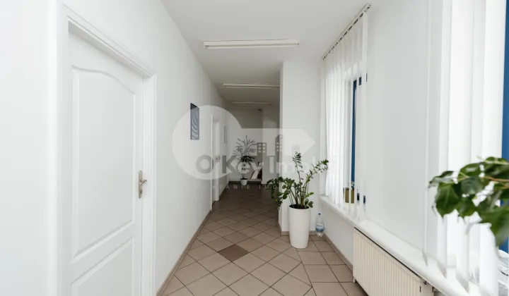 Oficiu, Centru, ALEXANDRU CEL BUN