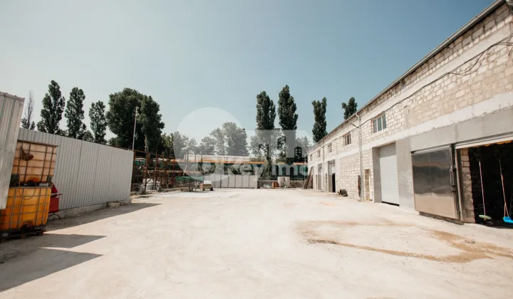 Depozit, Botanica, HALTEI