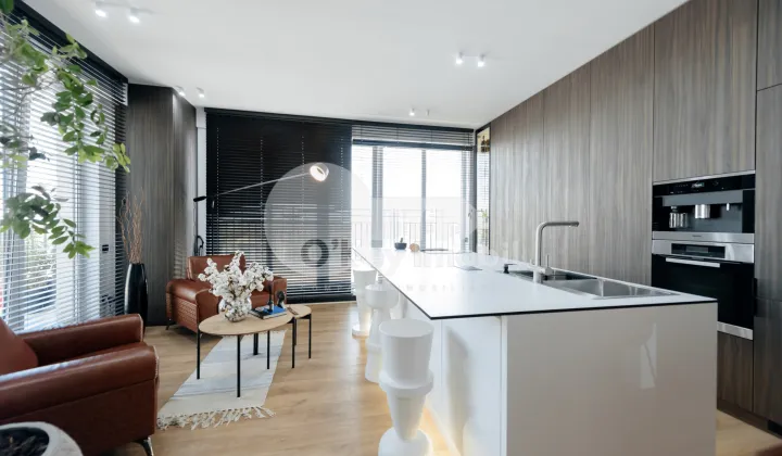 Penthouse, Ciocana, MIRCEA CEL BĂTRÂN