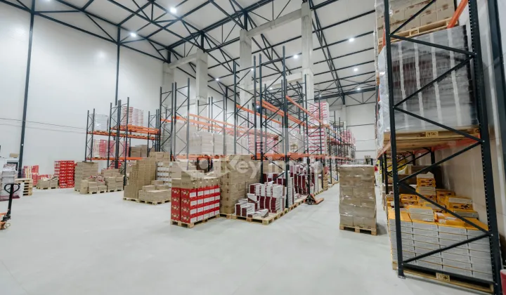 Depozit, Botanica, DACIA