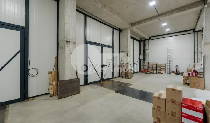 Depozit, Botanica, DACIA