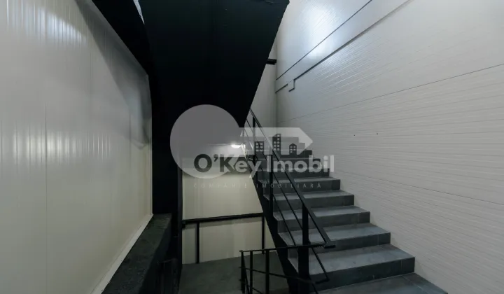 Depozit, Botanica, DACIA