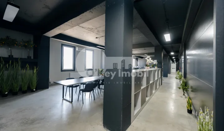 Depozit, Botanica, DACIA