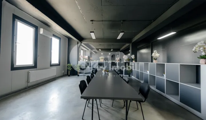 Depozit, Botanica, DACIA