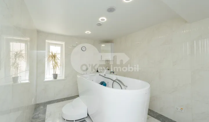 Spațiu comercial, Telecentru, PIETRARILOR