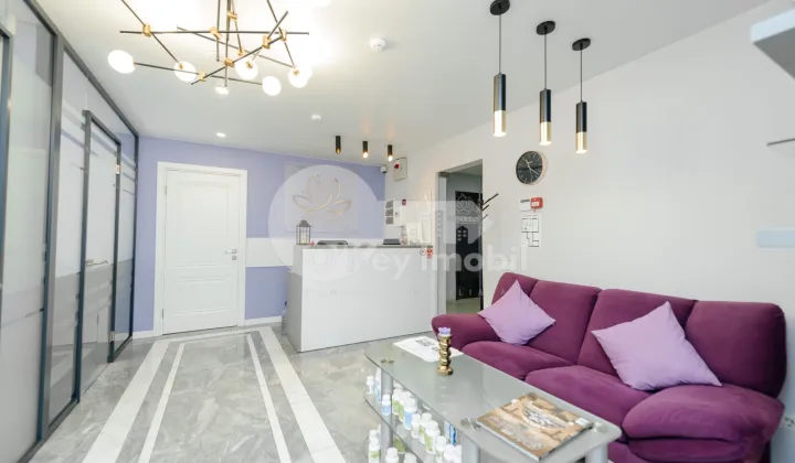 Spațiu comercial, Telecentru, PIETRARILOR