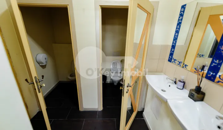 Spațiu comercial, Râșcani, MIRON COSTIN