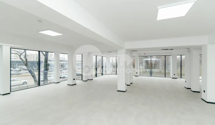 Oficiu, Botanica, DACIA