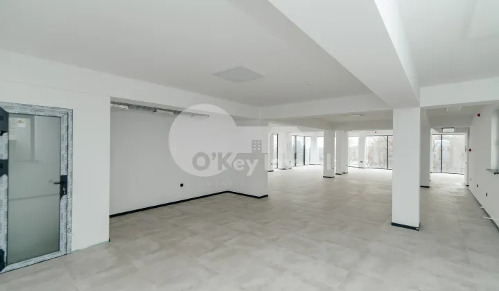 Oficiu, Botanica, DACIA