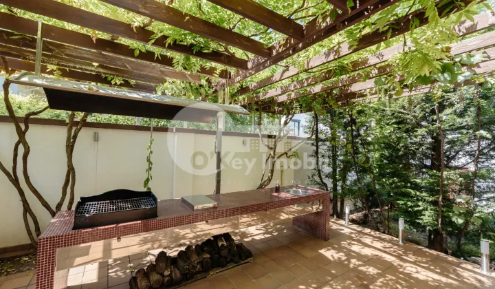 Casă, Telecentru, GHEORGHE ASACHI