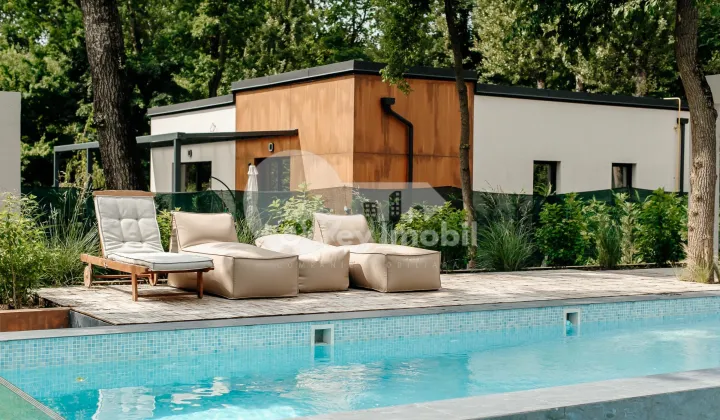 Casă, VADUL LUI VODĂ