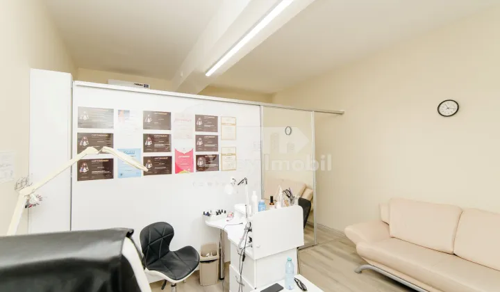 Oficiu, Telecentru, ION INCULEȚ