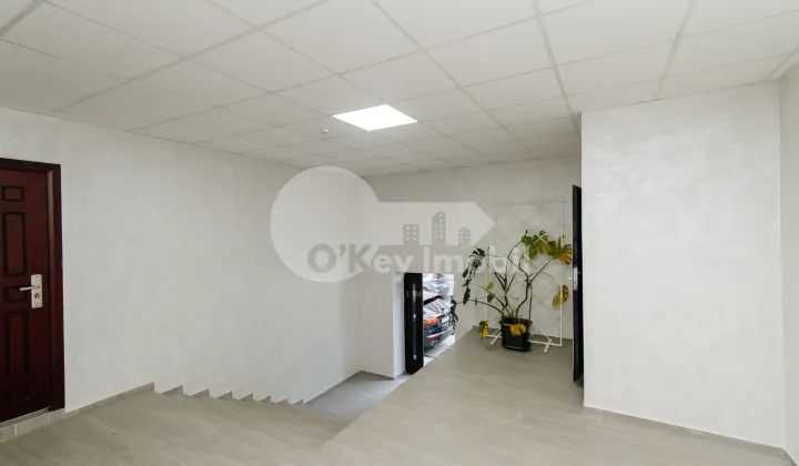 Oficiu, Telecentru, ION INCULEȚ