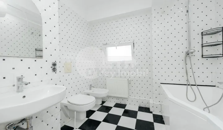 Apartament, Centru, ALEXANDRU CEL BUN