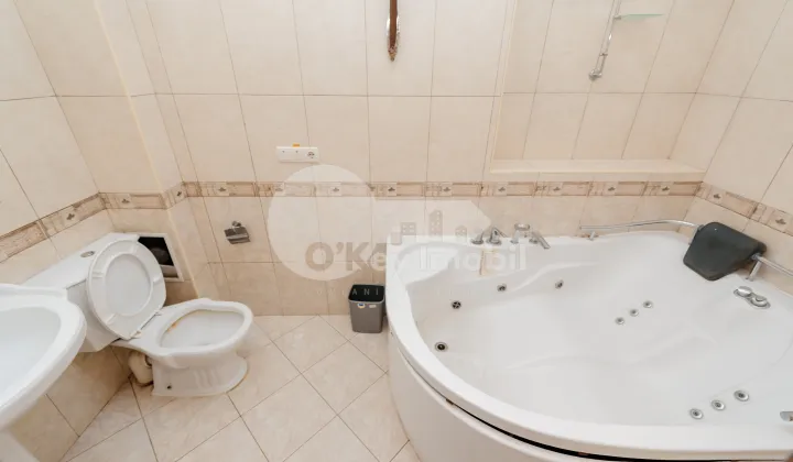 Spațiu comercial, Telecentru, STR. IALOVENI