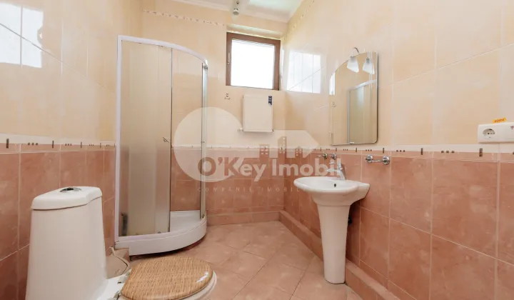 Spațiu comercial, Telecentru, STR. IALOVENI