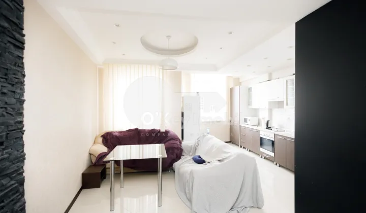 Apartament, Centru, NICOLAE TESTEMIȚANU