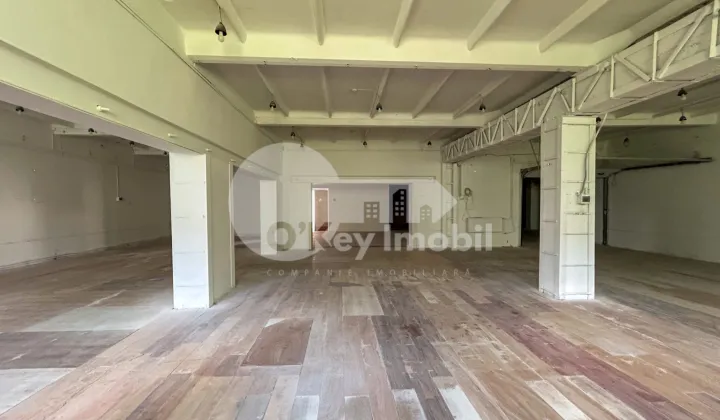 Depozit, Ciocana, UZINELOR